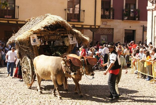 Concurso y desfile de carros engalanados tirados por bueyes y caballos en la Plaza del Grano de León por San Froilán 2019.