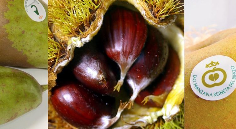 Frutos secos y frutas de otoño con sello de calidad en León y El Bierzo: manzana reineta, pera conferencia y castaña.