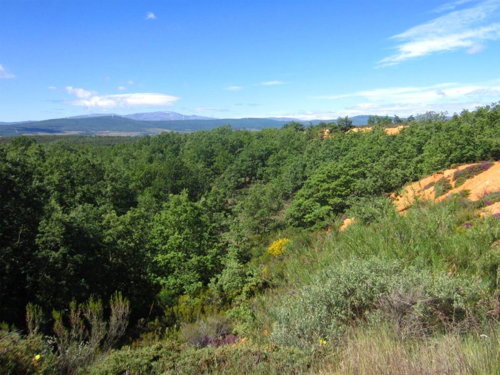 Antigua explotación minera romana La Fucarona entre El Ganso y Rabanal del Camino, Santa Colomba de Somoza.