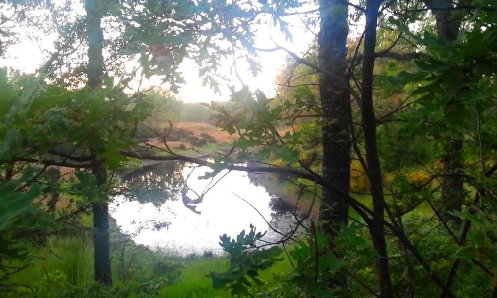Laguna Cernea artificial de origen romano en el municipio de Santa Colomba de Somoza, próxima a la villa romana El Soldán.