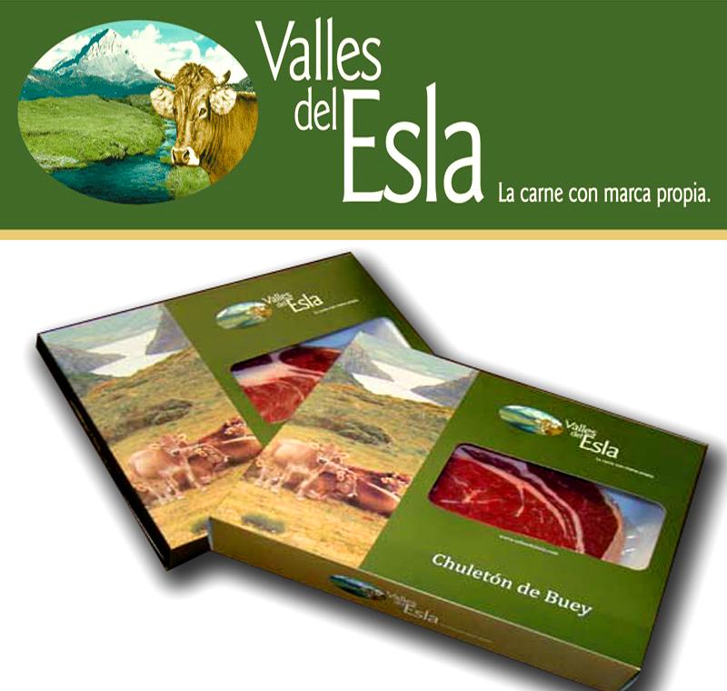 Bueyes en libertad de la marca de calidad Valles del Esla en la montaña leonesa