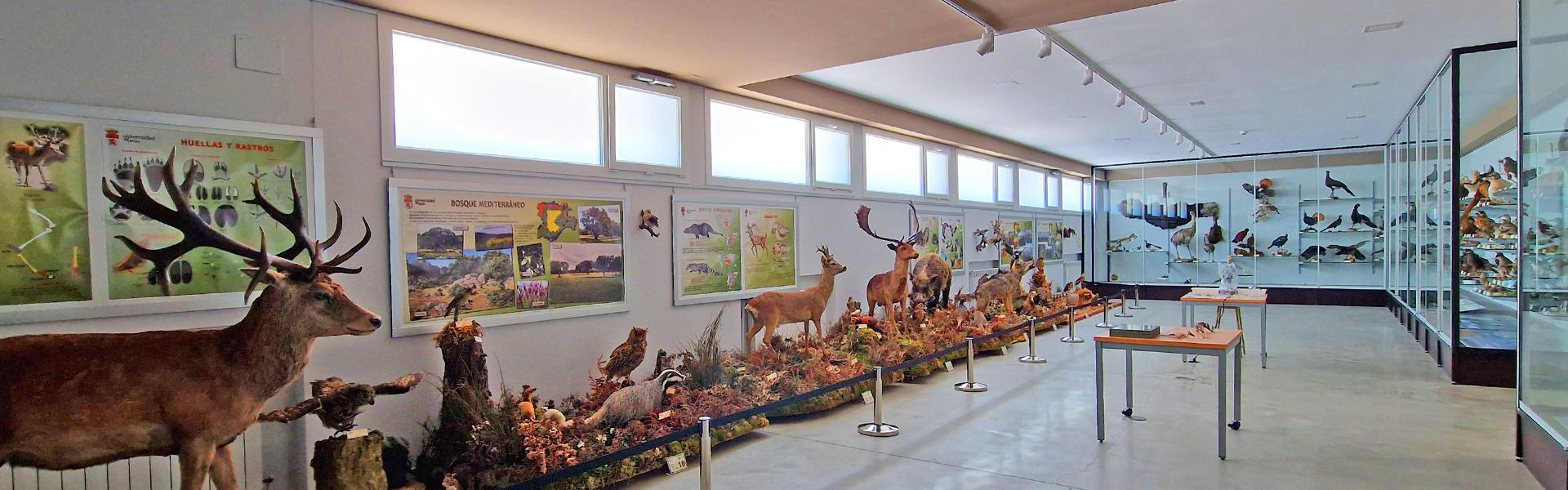MULE: Museo de Colecciones de la Universidad de León