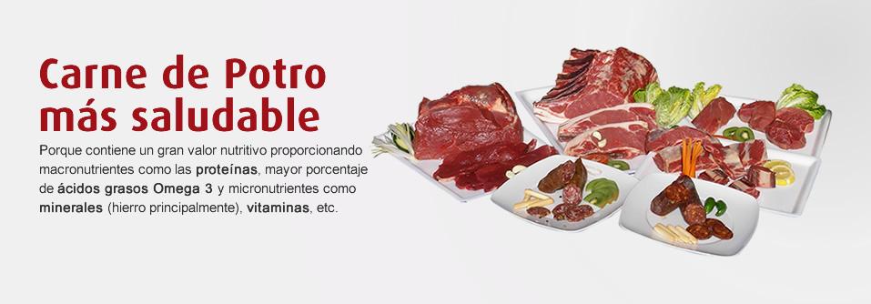 Caballos de raza Hispano Bretón pastando en libertad para la producción de carne de potro