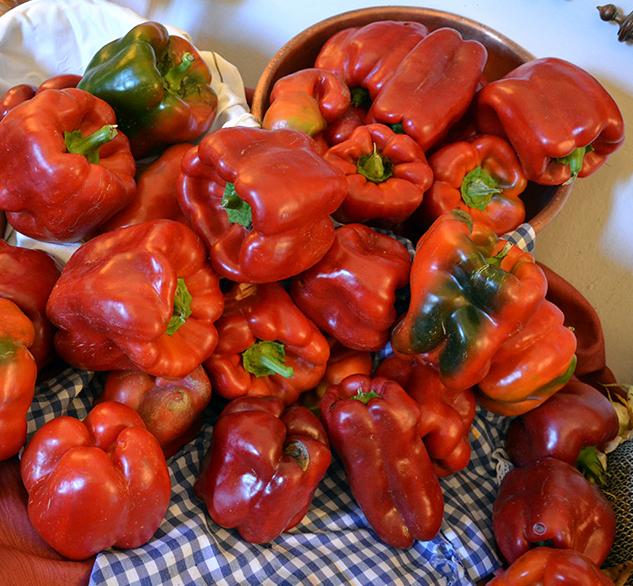 Pimiento morrón rojo rico en vitamina C, betacarotenos antioxidantes y ácido fólico para el embarazo.