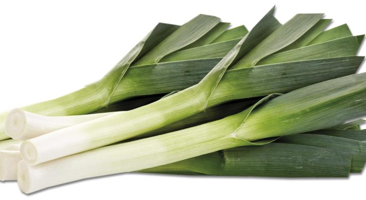 Puerro de Sahagún con Marca de Garantía de León, hortaliza de calidad superior.