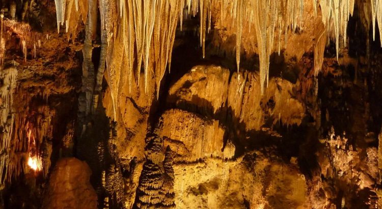 Reserva de la Biosfera de Los Argüellos en León entorno natural protegido por la UNESCO