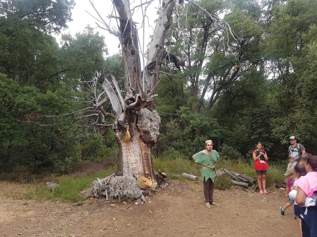 El bosque del Trasno y el duende en la ruta de Cobrana