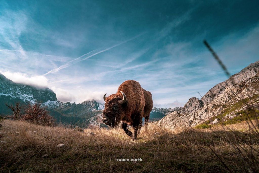 Valle de Anciles conocido como los fiordos leoneses en los Picos de Europa