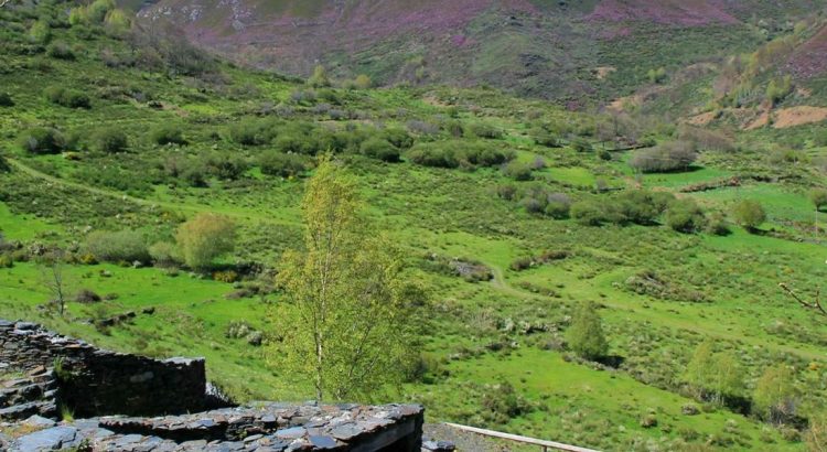 Paisaje natural del Valle de Fornela en la Reserva de la Biosfera de los Ancares Leoneses.